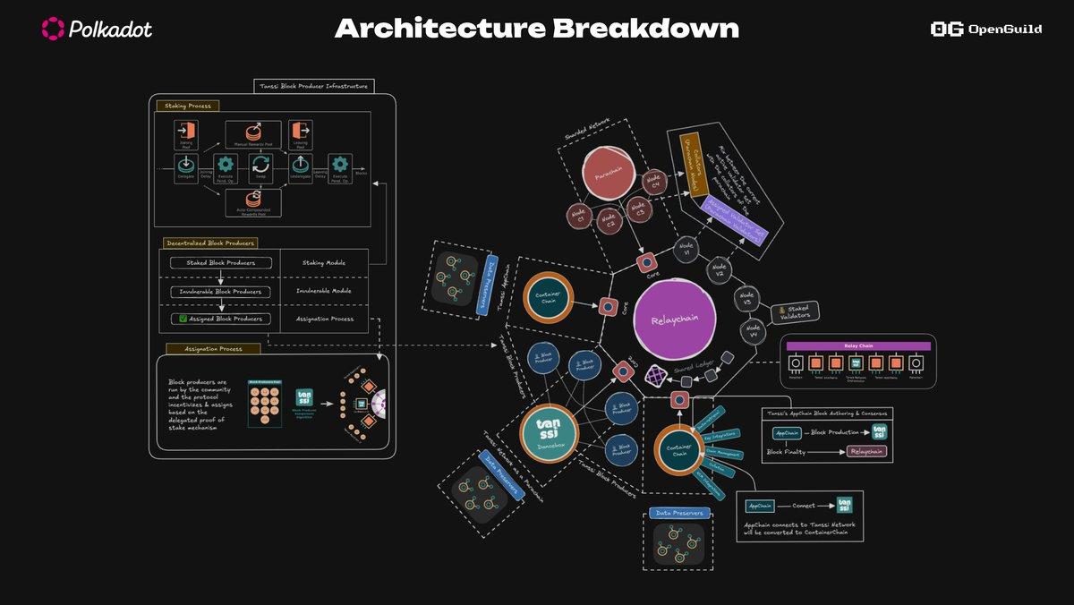 Tanssi Network Visualization