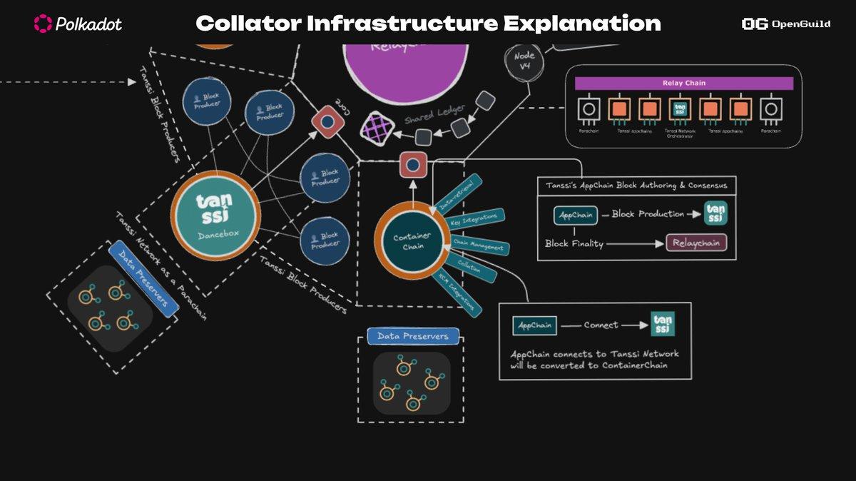 Tanssi Network Visualization