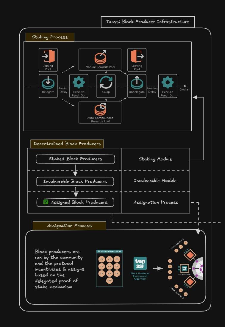 Tanssi Network Visualization